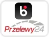 Blik P24